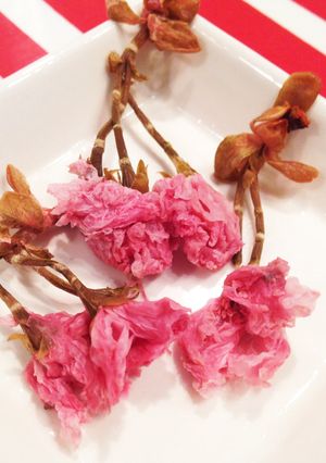 フワッと咲いた。桜の塩漬け使い方コツ-レシピのメイン写真