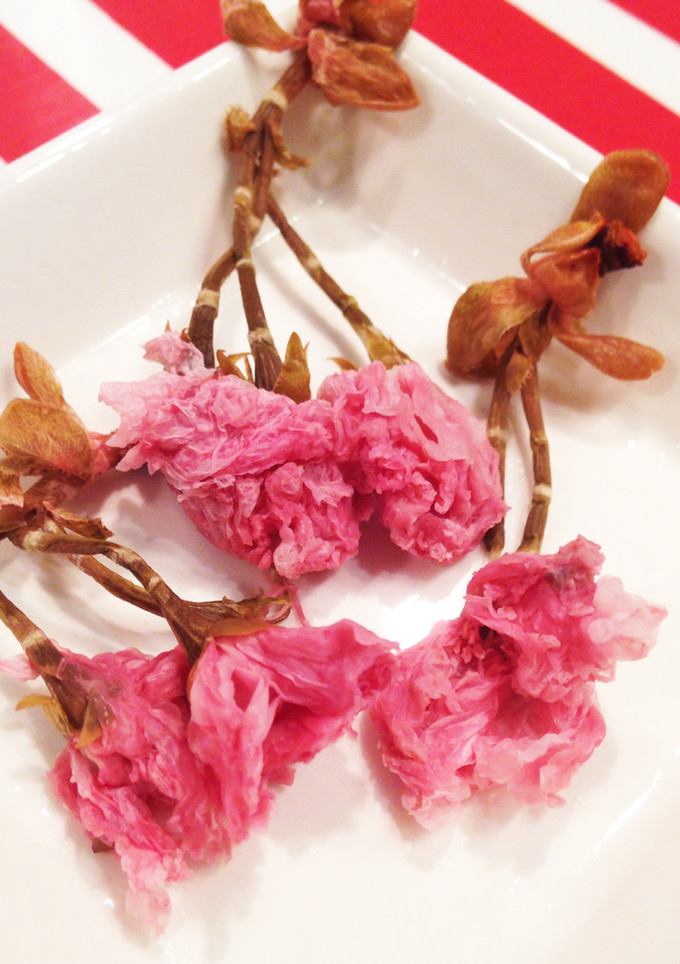 フワッと咲いた。桜の塩漬け使い方コツ-レシピのメイン写真