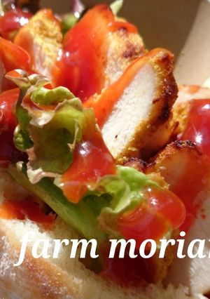 ハマるトルコ味♪チキンケバブ-レシピのメイン写真