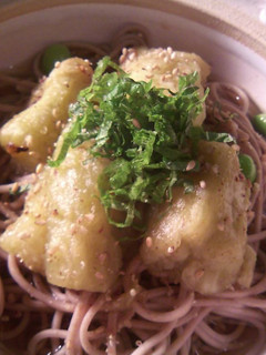 焼きなす冷やしそば-レシピのメイン写真