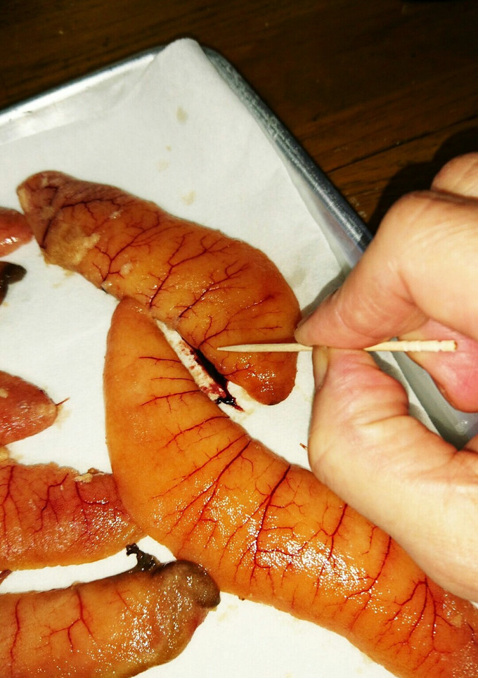 マグロ漁師流臭み０魚子供下処理方法-レシピのメイン写真