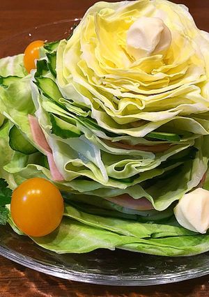 まるごとキャベツのごまドレサラダ-レシピのメイン写真