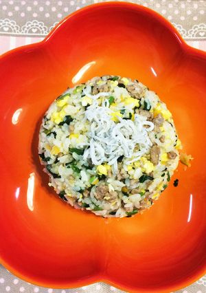 ほうれん草と豚ミンチのチャーハン☆-レシピのメイン写真