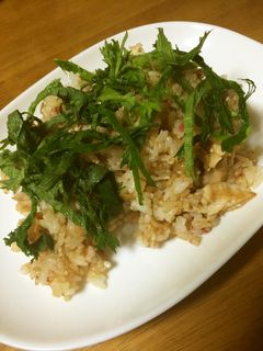 ササミと梅肉の焼き飯-レシピのメイン写真