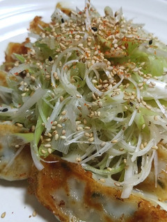 シャキ旨~ねぎ盛り餃子~-レシピのメイン写真