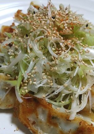 シャキ旨~ねぎ盛り餃子~-レシピのメイン写真