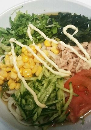☆野菜たっぷりサラダうどん☆-レシピのメイン写真