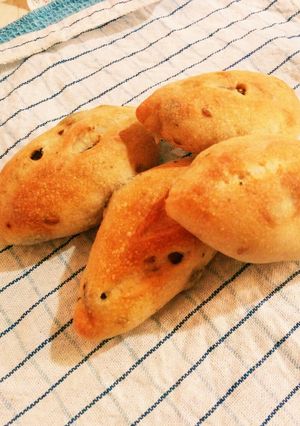 みかん酵母でミニバゲット-レシピのメイン写真