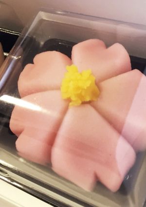 桜の練り切り-レシピのメイン写真