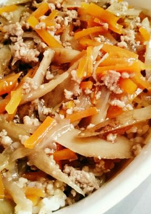 ご飯がすすむ♪簡単ごぼう挽き肉丼-レシピのメイン写真