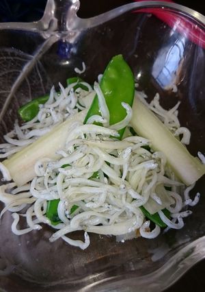 うどと絹さやのしらす合え-レシピのメイン写真