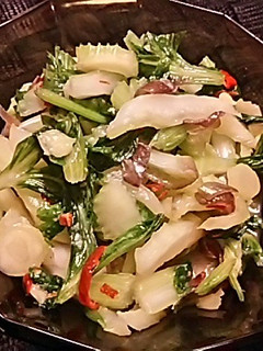 セロリの漬物-レシピのメイン写真