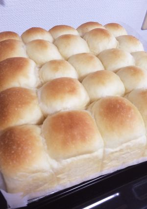 豆乳パン（スクエア２１センチ）-レシピのメイン写真