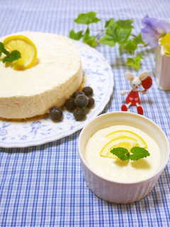 定番のレアチーズケーキ-レシピのメイン写真