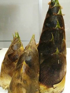 糠無し!!筍のゆで方 筍農家直伝です♡ -レシピのメイン写真