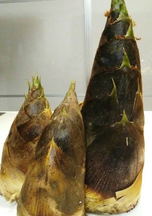 糠無し!!筍のゆで方　筍農家直伝です♡　-レシピのメイン写真
