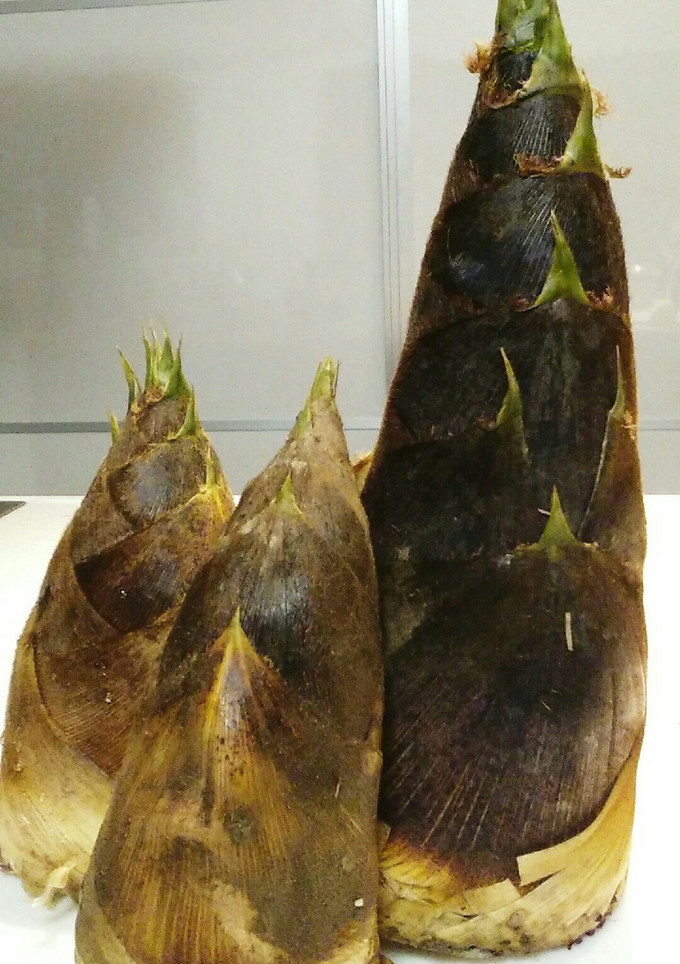 糠無し!!筍のゆで方　筍農家直伝です♡　-レシピのメイン写真