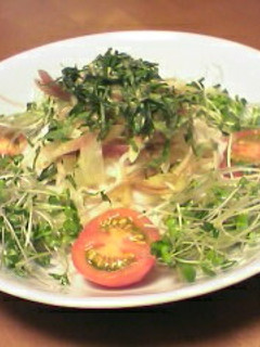 ☆市販のゴマだれで♪サラダ感覚のそうめん-レシピのメイン写真