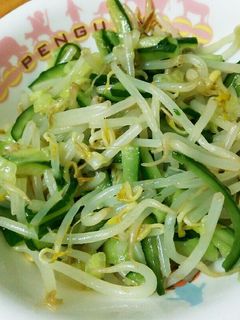 きゅうりともやしのナムル-レシピのメイン写真