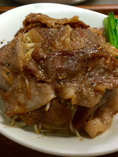 もやしと玉ねぎの食感が楽しい☆豚丼-レシピのメイン写真