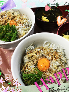 旬だから♡シラス丼-レシピのメイン写真
