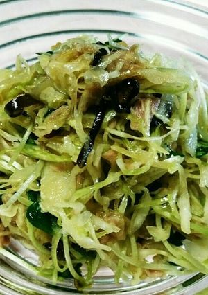 塩昆布×ツナ缶のサラダ-レシピのメイン写真