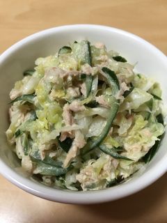 キャベツときゅうりのコールスロー風サラダ-レシピのメイン写真
