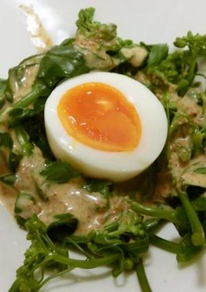 まるごと菜の花サラダ-レシピのメイン写真