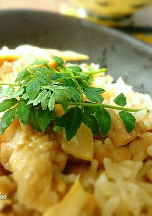 たけのこ鶏肉の炊き込みご飯✾-レシピのメイン写真