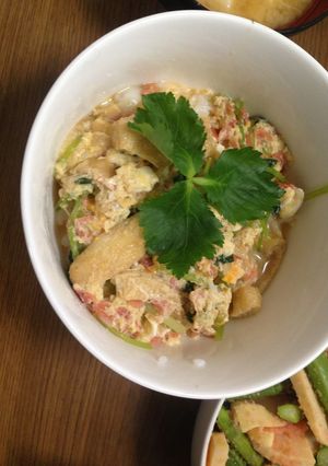 桜えびの玉子丼-レシピのメイン写真