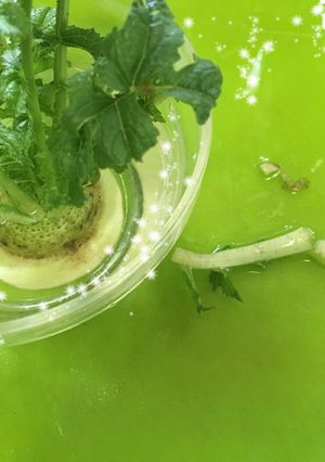 折れた茎から食べる☆大根葉ふりかけ-レシピのメイン写真