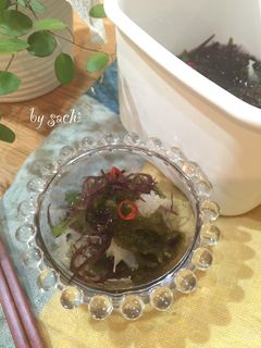 【作り置き】海藻のだし漬け♪-レシピのメイン写真