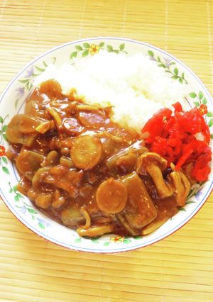 ☺ダイエットに！簡単♪食物繊維カレー☺-レシピのメイン写真