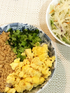 一人暮らしを始めた君に 三色丼-レシピのメイン写真