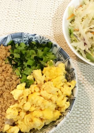 一人暮らしを始めた君に 三色丼-レシピのメイン写真
