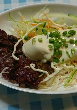 豆腐サラダ、べ-コンフレンチドレッシング-レシピのメイン写真