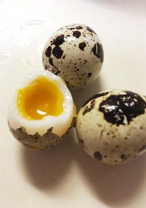 すでに塩味のうずらのたまご！驚-レシピのメイン写真