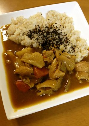 カレーライスに酢しょうが入れちゃいました-レシピのメイン写真
