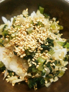 ビタミン♪れんこんと大根菜のふりかけ-レシピのメイン写真