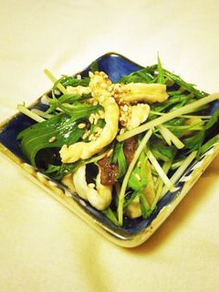切り干し大根と水菜のお手軽サラダ-レシピのメイン写真