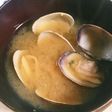冷凍アサリ 冷凍したあさりの味噌汁