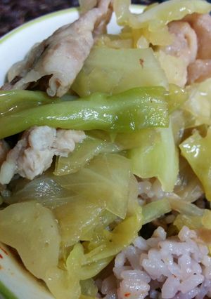 煮キャベツ豚丼-レシピのメイン写真