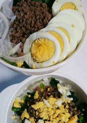 合い挽きミンチの甘め丼-レシピのメイン写真