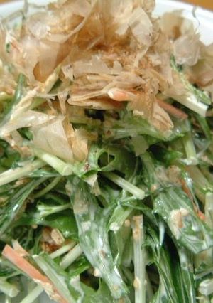 簡単水菜サラダ-レシピのメイン写真