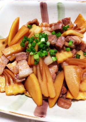 タケノコと豚バラの煮物-レシピのメイン写真