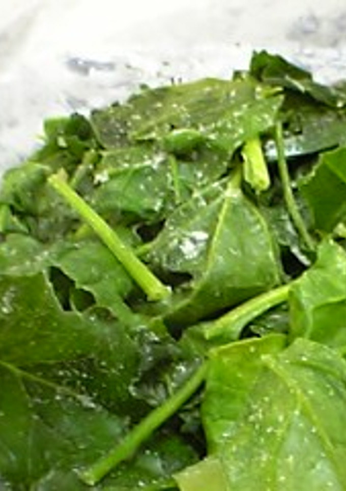 ほうれん草の冷凍保存-レシピのメイン写真