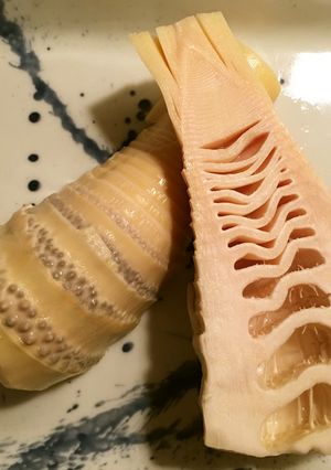 初心者でも簡単！たけのこのあく抜き-レシピのメイン写真