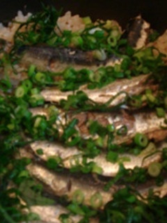 鰯の炊き込みごはん-レシピのメイン写真