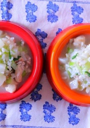 *犬ごはん* 一緒に食べる鶏雑炊-レシピのメイン写真