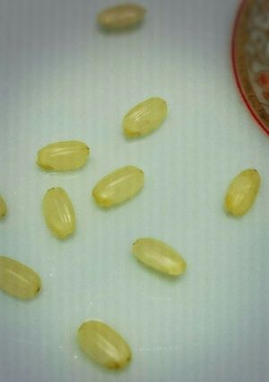 発芽玄米とレジュビラック-レシピのメイン写真